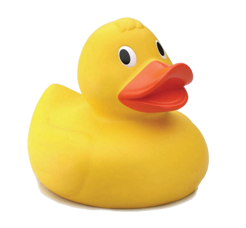 picture of duck debugger AI